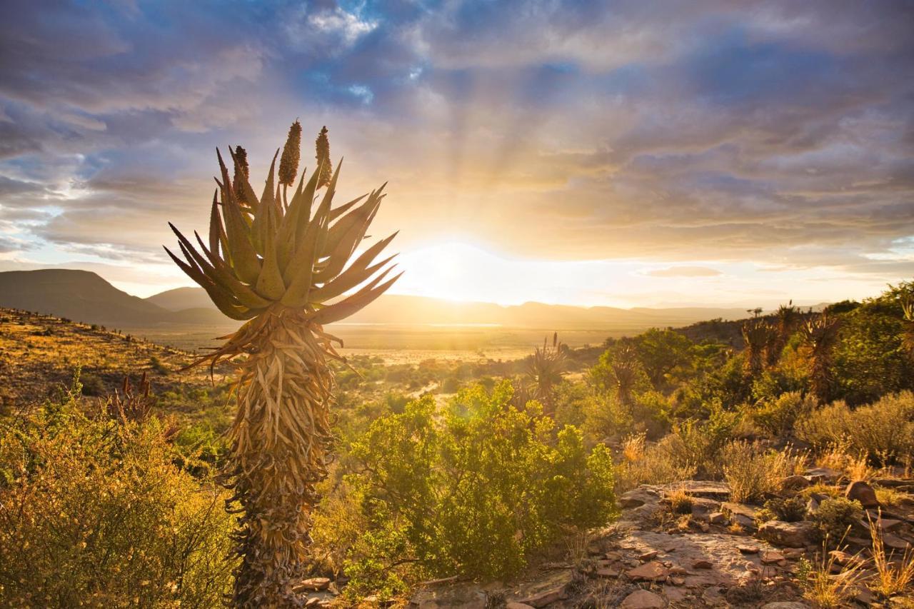 Ironstone Cottage Graaff-Reinet Esterno foto